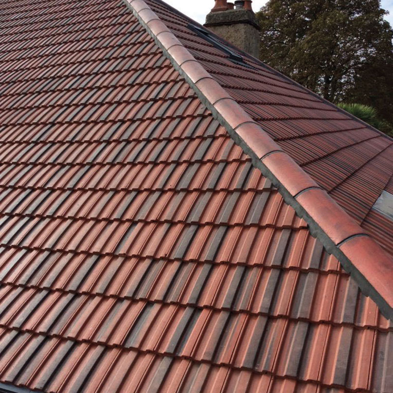 Roofing Services in Forest Gate